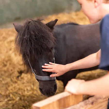 Apartment Nordseehof Brömmer Deichhus *