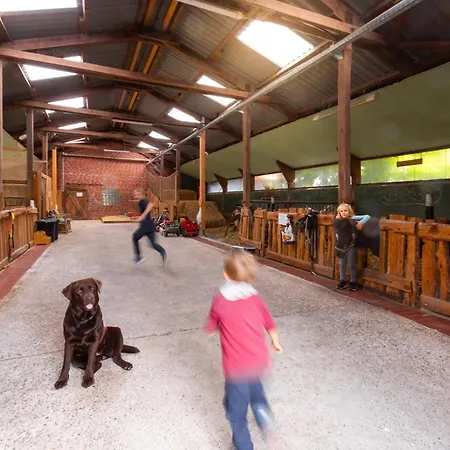 Nordseehof Brömmer Deichhus Apartment *