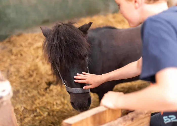 Daire Nordseehof Broemmer Deichhus *