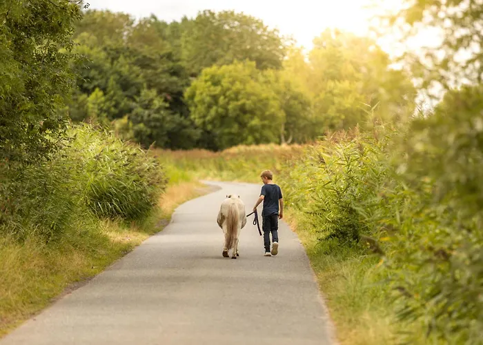 Nordseehof Broemmer Deichhus Daire Wremen